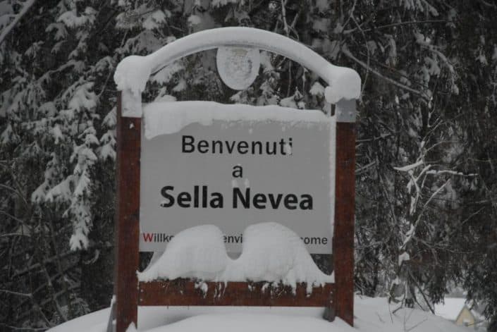 534937 3045255132297 1432621162 n