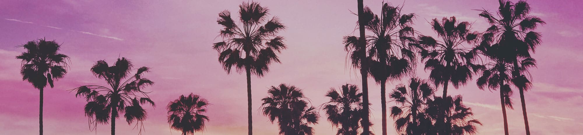 school performing arts hollywood banner