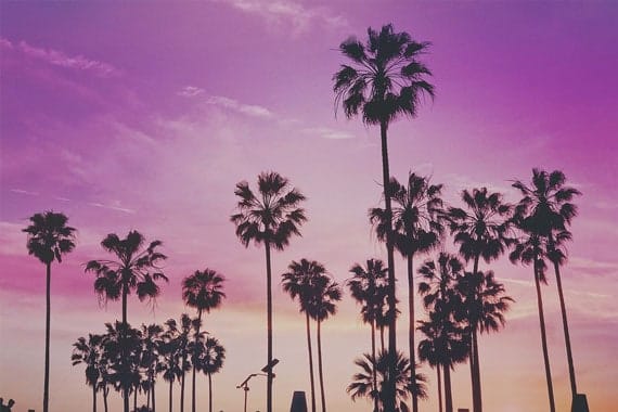 school performing arts hollywood