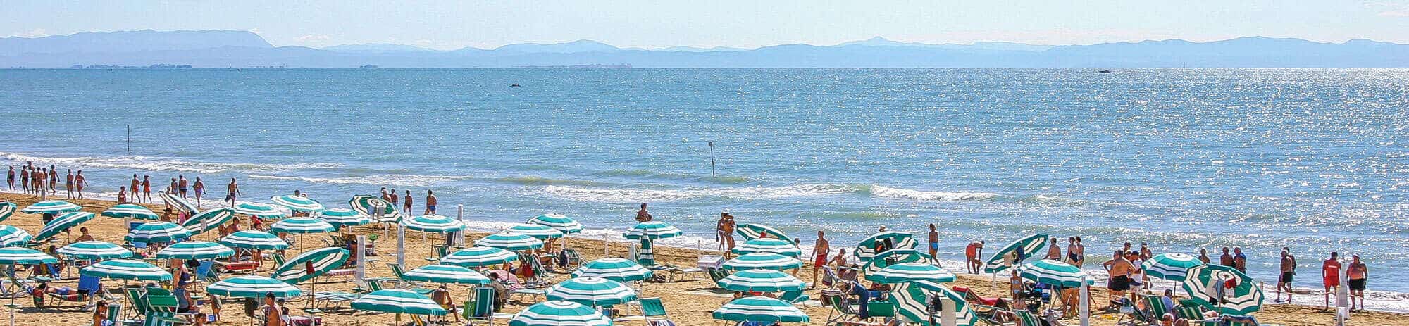 school sportsfest italy banner normal2