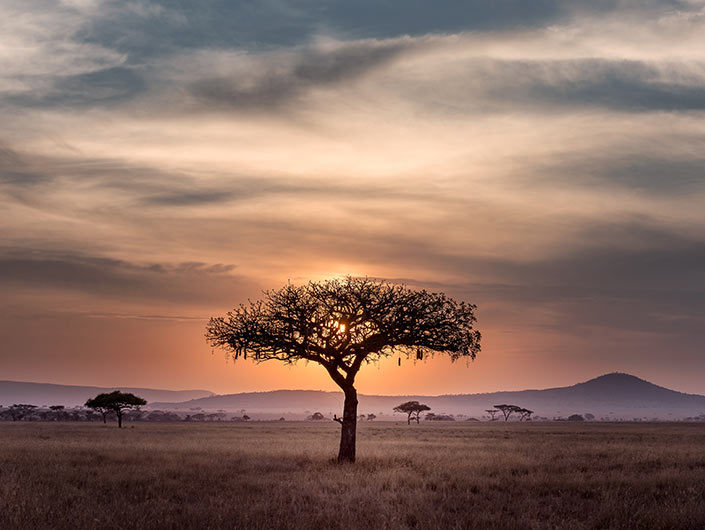 South Africa Landscape