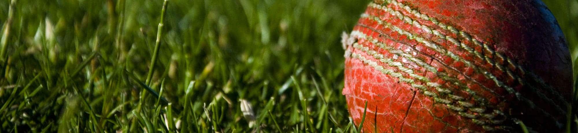 school cricket tours banner