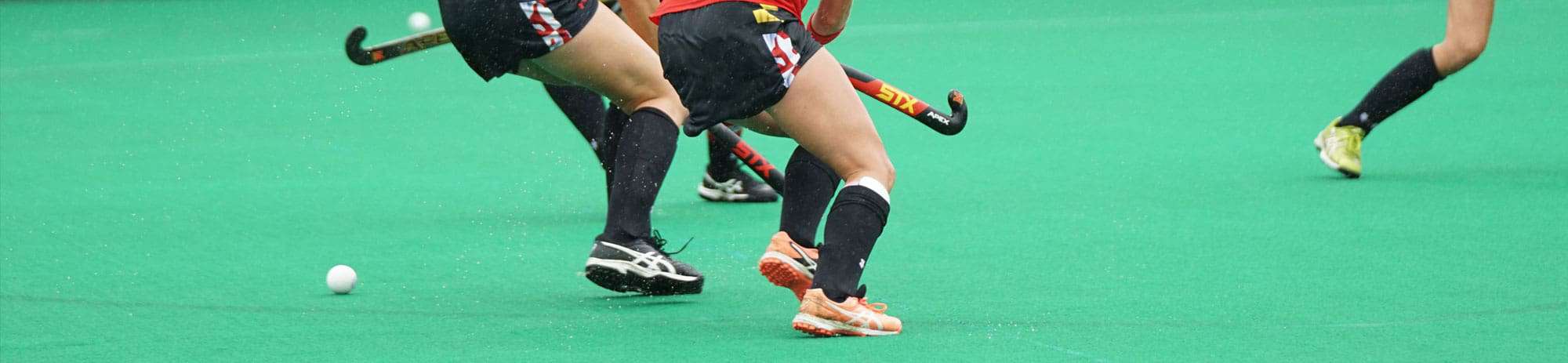 school hockey tours banner