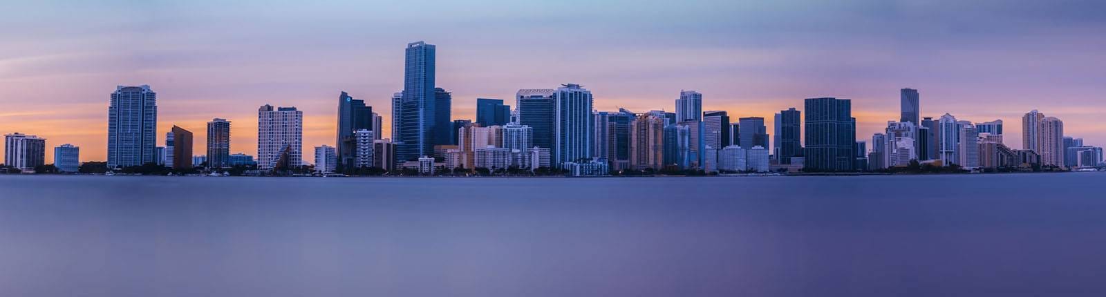 florida netball banner