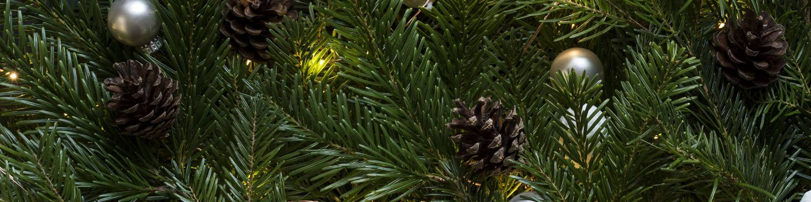 christmas Festive Fitness banner