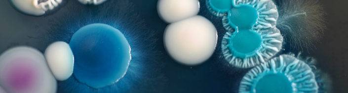 easter school science trip banner