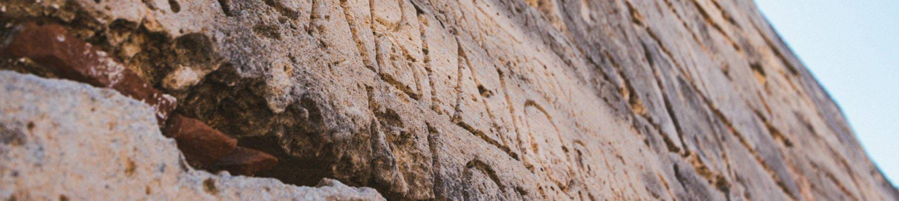 School Classics Trips banner