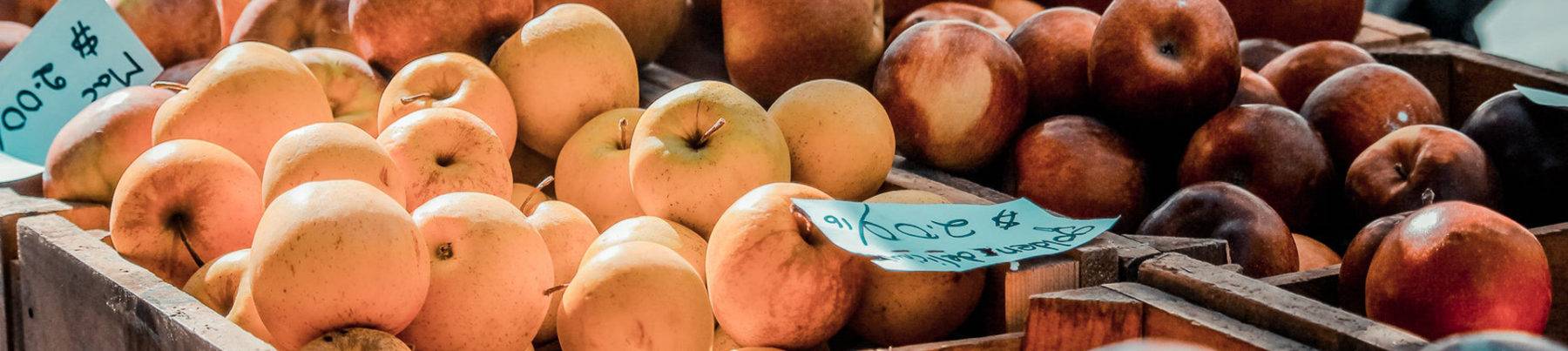 School Food Technology Trips banner