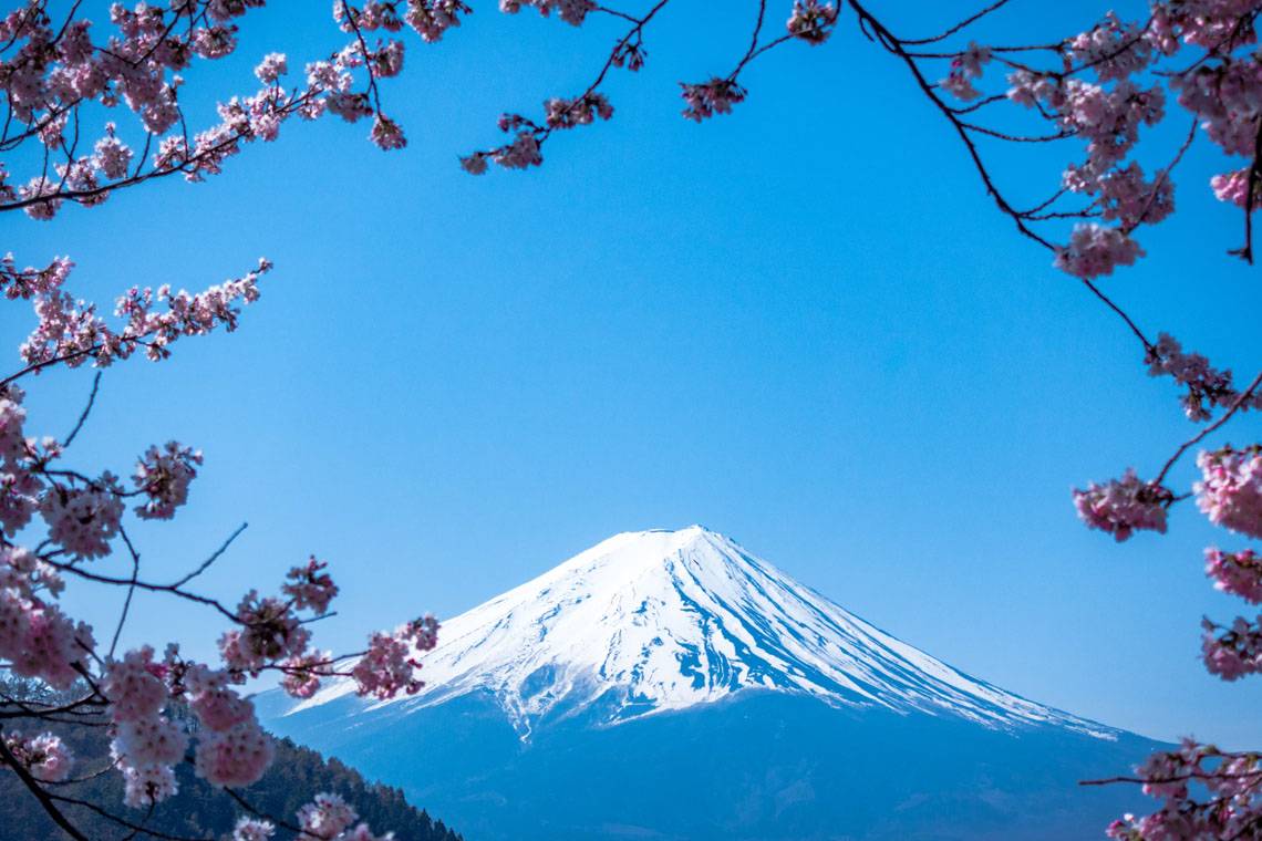 Mount Fuji Japan science School trip