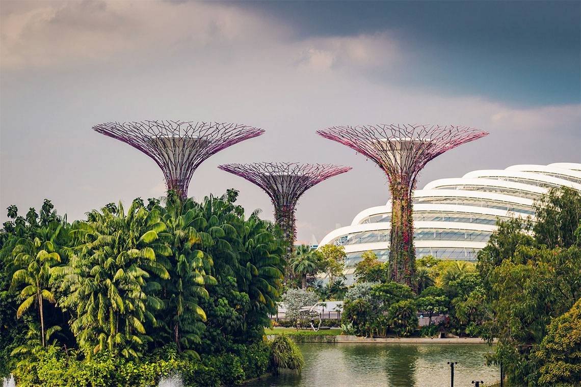 STEM School Trips to Singapore