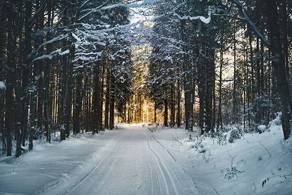 School Ski Trips to Ankogel-Mallnitz, Austria