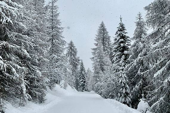 School Ski Trips to Ankogel-Mallnitz, Austria