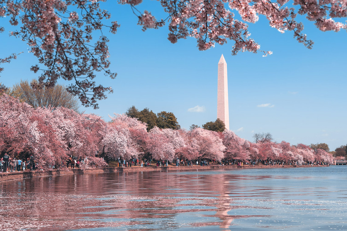 Washington DC Government & Politics Tours