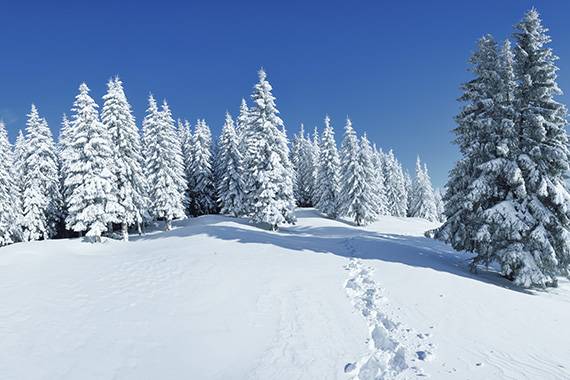 prato nevoso italy school ski trip