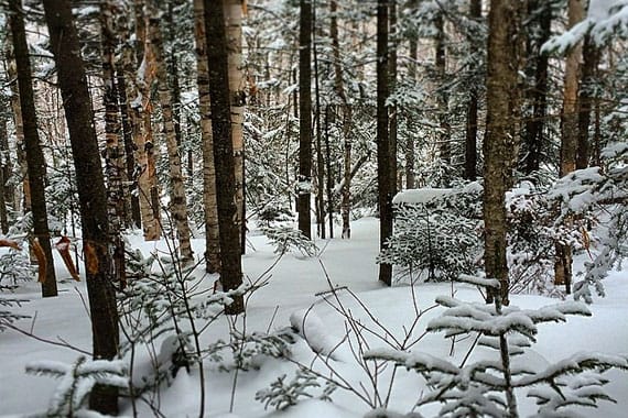 school ski trips sugarloaf maine
