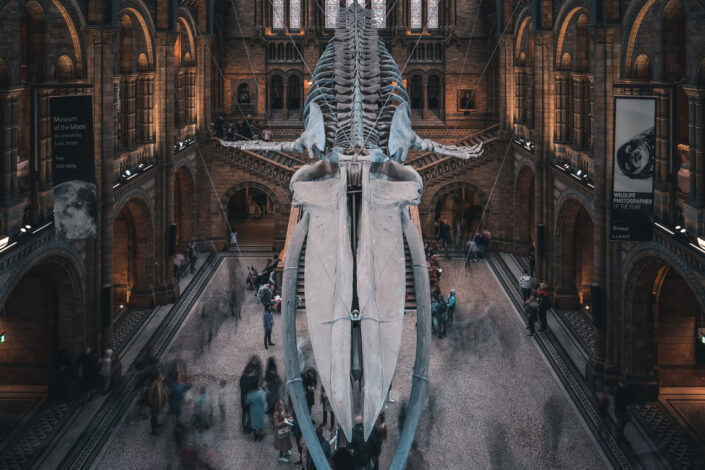 Natural History Museum London School science trips