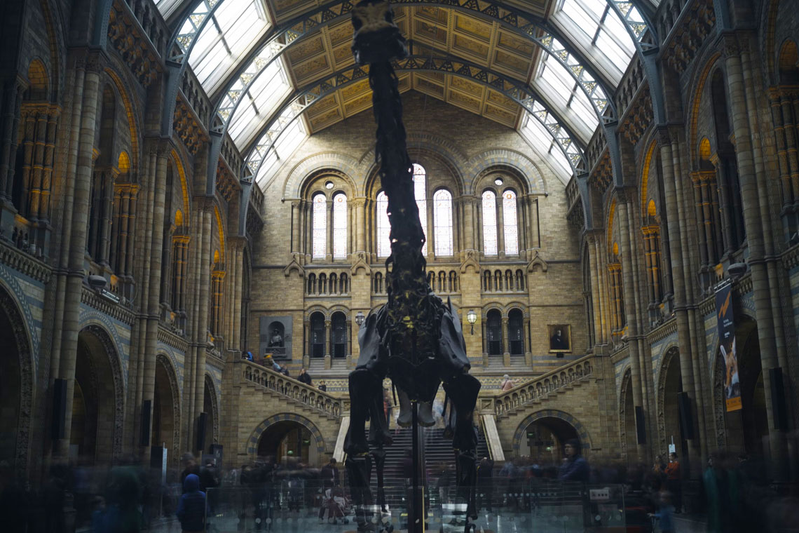 Natural History Museum London School science trips