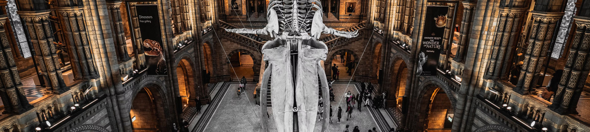 school science trips banner