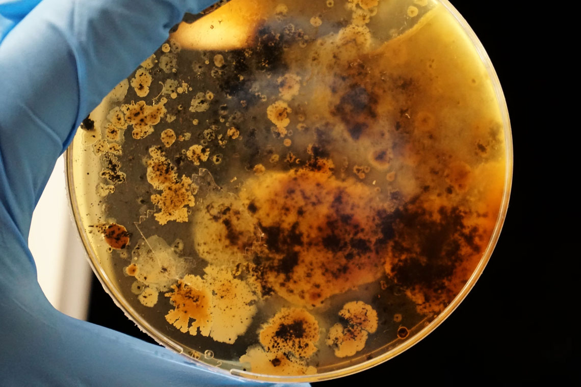 Amsterdam Science Trips Micropia